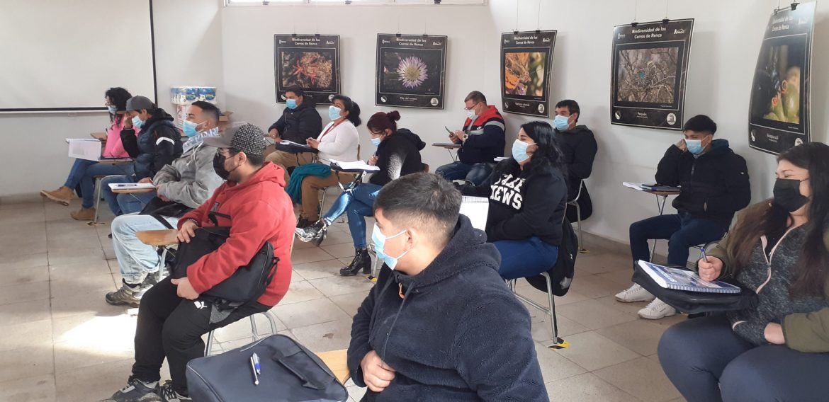 Nuevos cursos en la III Región